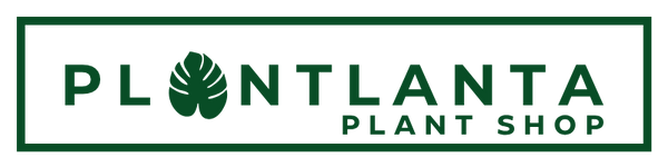 🔢 Plantlanta Gift Cards
