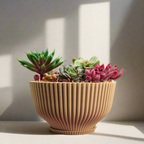 Bonsai Pot with Drainage & Tray