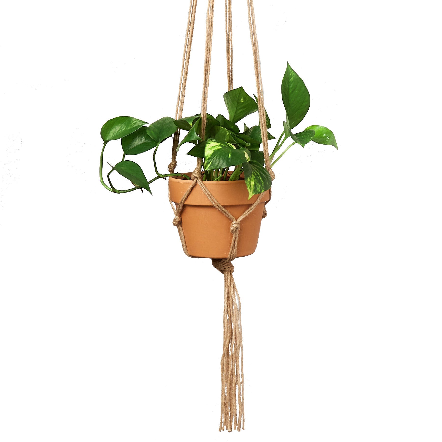 Macrame Hanger Designed For 5 7 Inch Planters