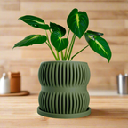 Aureus Planter with Drainage