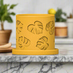 Monstera Leaf Planter