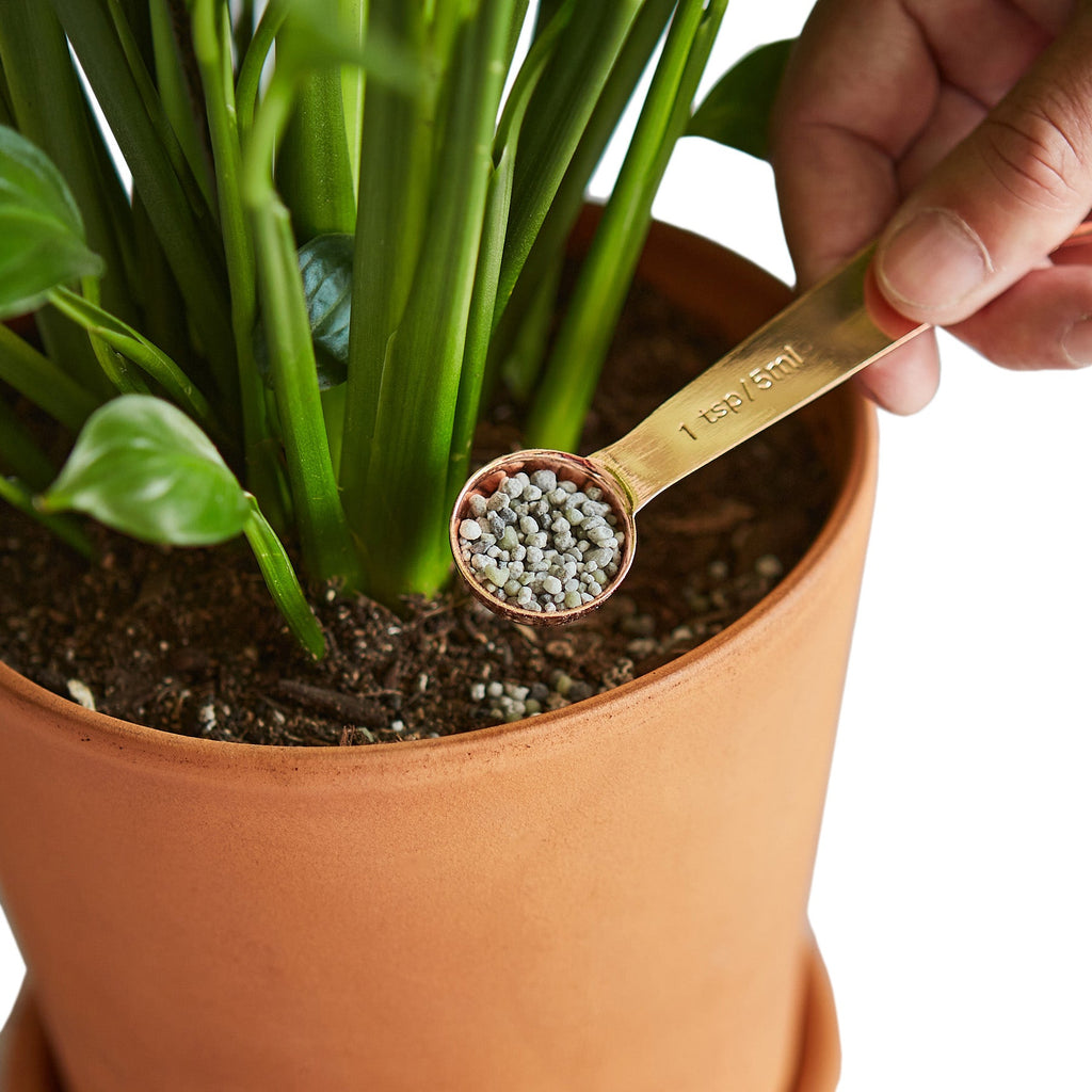 Pellet Fertilizer Indoor House Plant Food Small