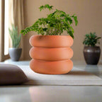 Bubble Planter/ Donut Planter with Drainage