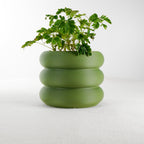 Bubble Planter/ Donut Planter with Drainage