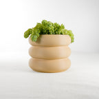 Bubble Planter/ Donut Planter with Drainage