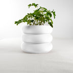 Bubble Planter/ Donut Planter with Drainage