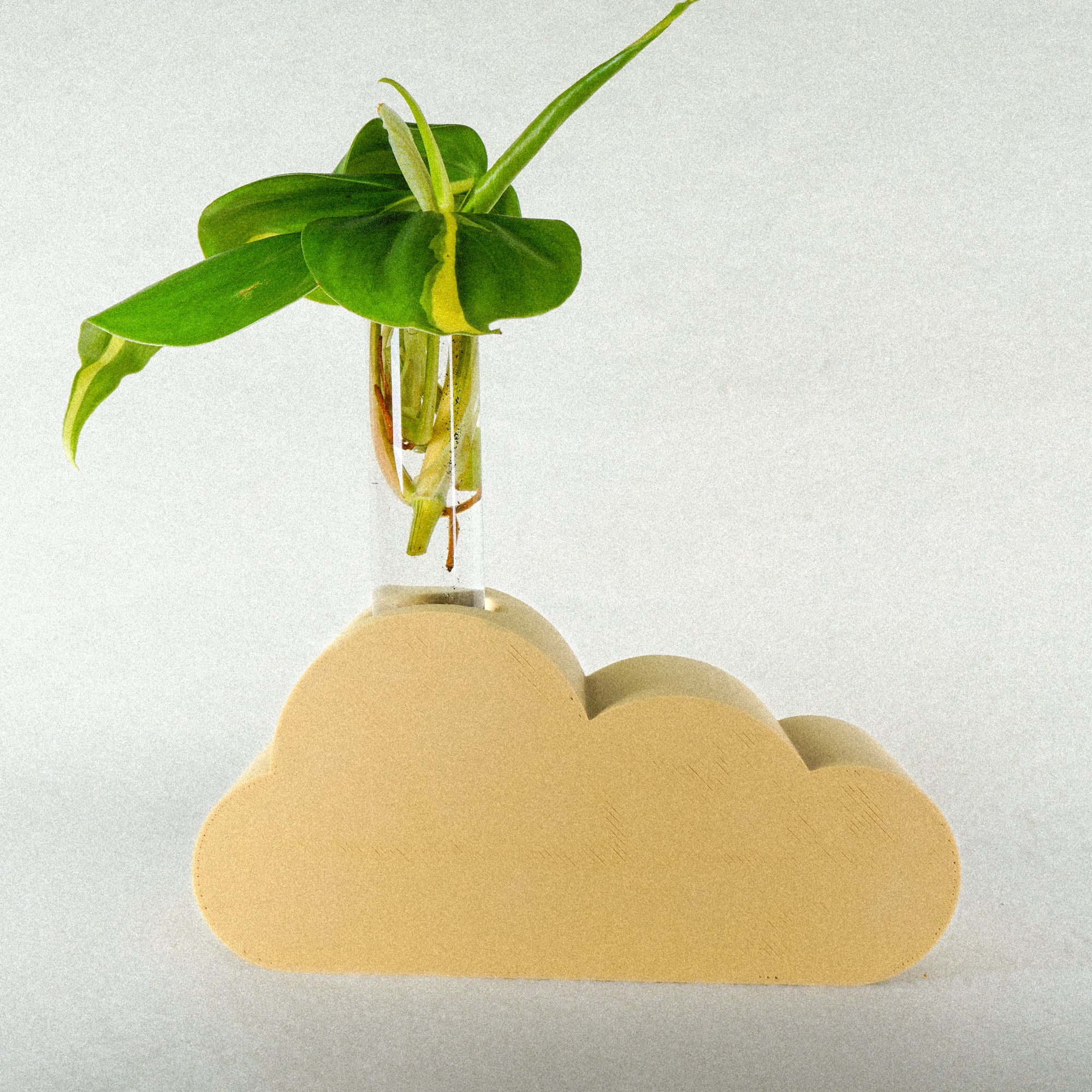 Cloud Propagation