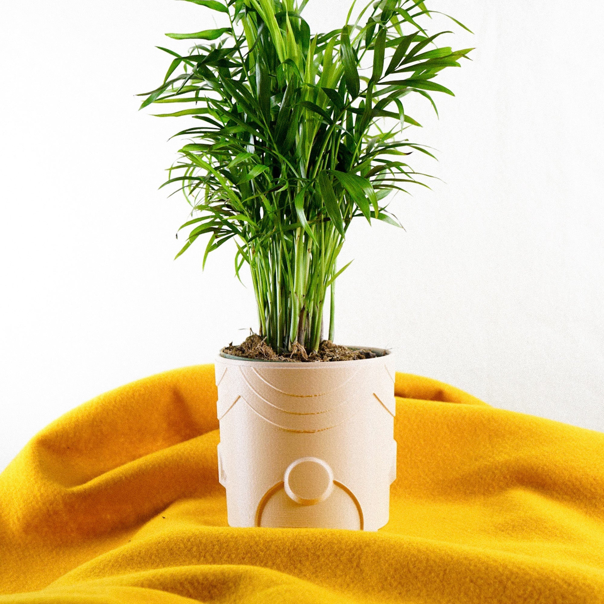 Deep Space Planter