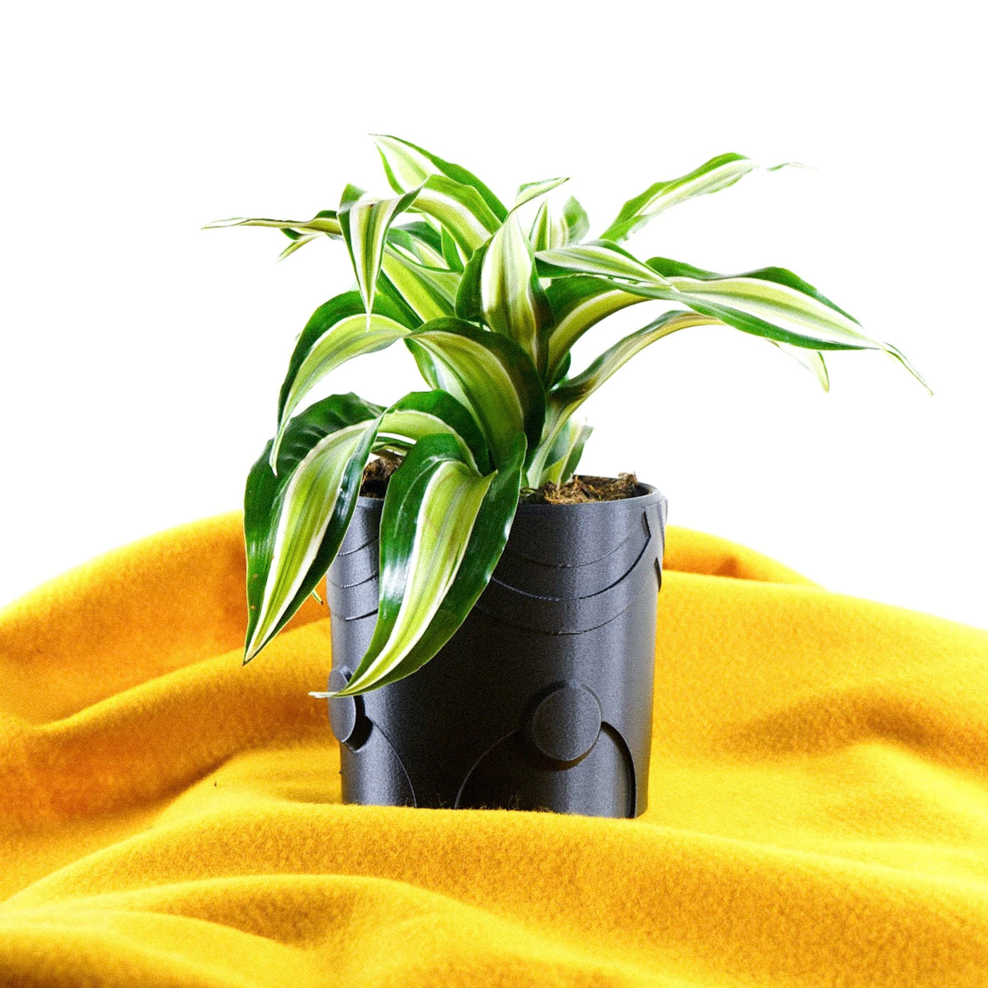 Deep Space Planter