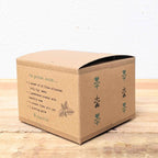 Grow a Ficus Altissima Seed Kit