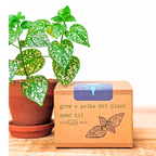 Grow a Polka Dot Seed Kit