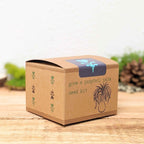 Grow a Ponytail Palm Seed Kit