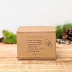 Grow an African Violet Seed Kit
