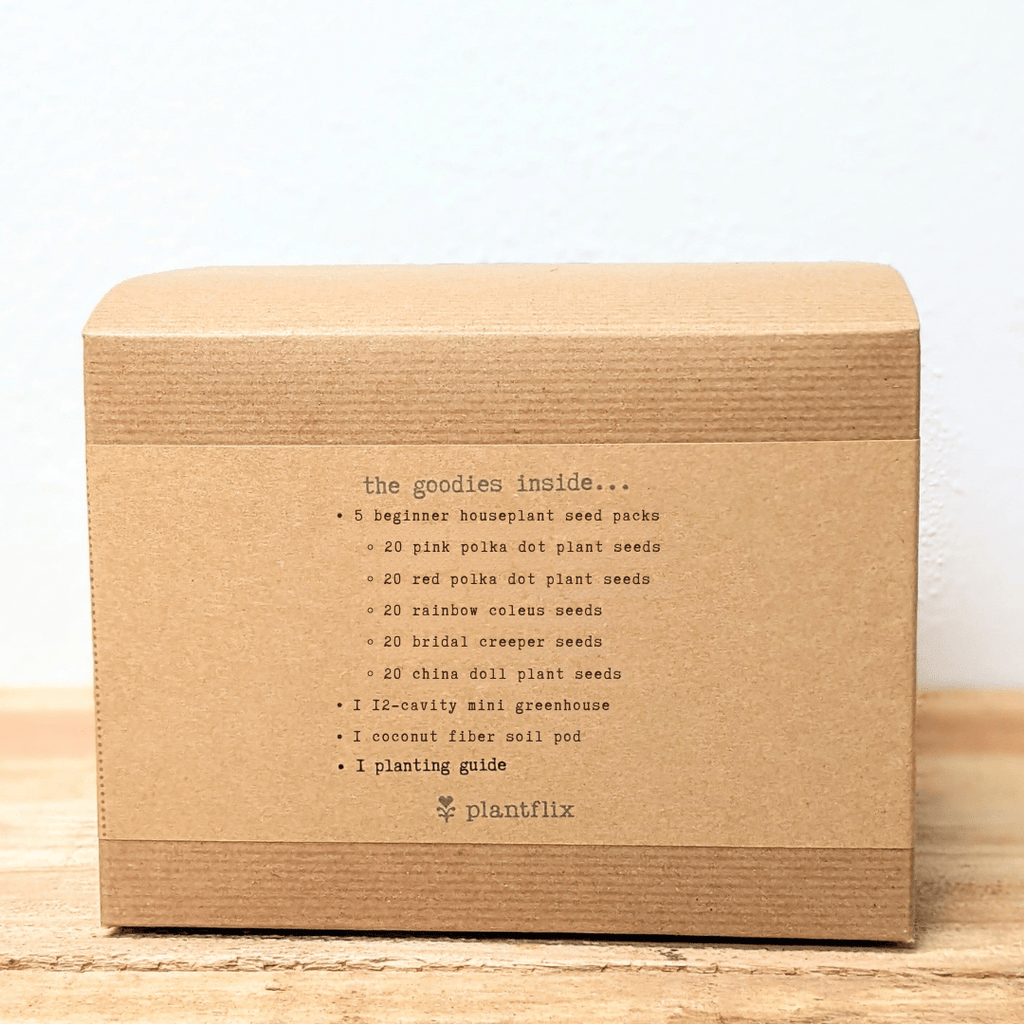 "Grow an Indoor Jungle" Houseplant Seed Kit