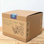 "Grow an Indoor Jungle" Houseplant Seed Kit