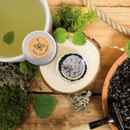 Lemon Balm Seeds