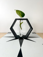 Hexagon Propagation Station