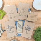 "Houseplant Newbie" Houseplant Seed Collection