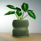 Aureus Planter with Drainage