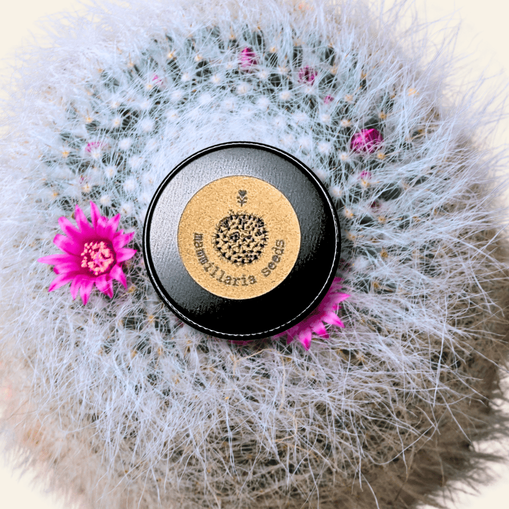 Mammillaria mix "Pincushion Cactus" Seeds