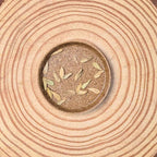 Pachypodium lamerei 'Madagascar Palm' Seeds